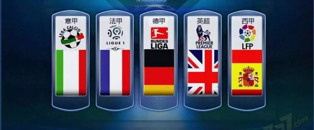 或管理顾问 或管理顾问